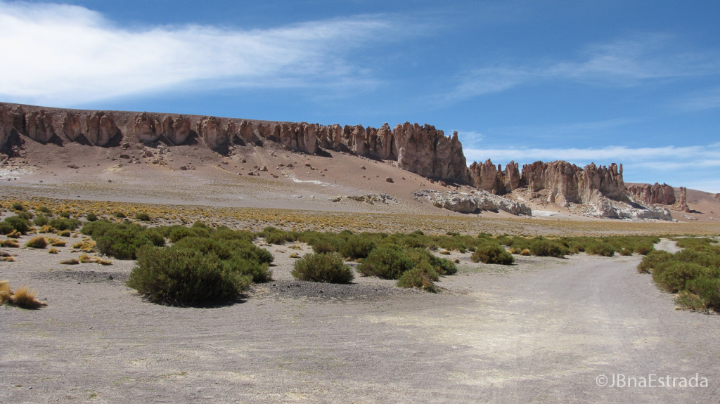 Chile - Atacama - Reserva Nacional Los Flamencos - Salar de Tara - Catedrais de Pedra