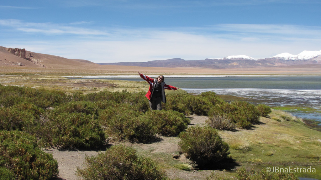 Chile - Atacama - Reserva Nacional Los Flamencos - Salar de Tara
