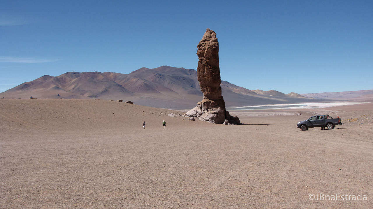 Chile - Atacama - Reserva Nacional Los Flamencos - Salar de Tara