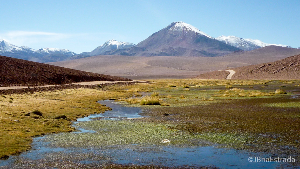 Chile - Atacama - Rio Putana