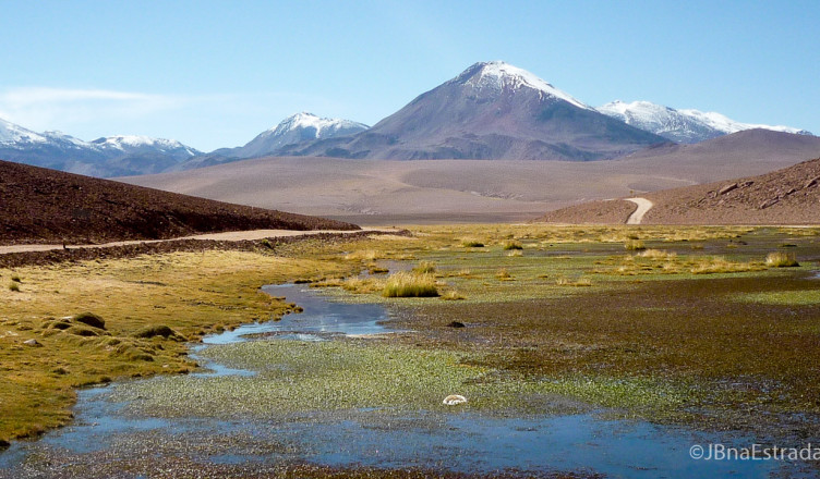 Chile - Atacama - Rio Putana