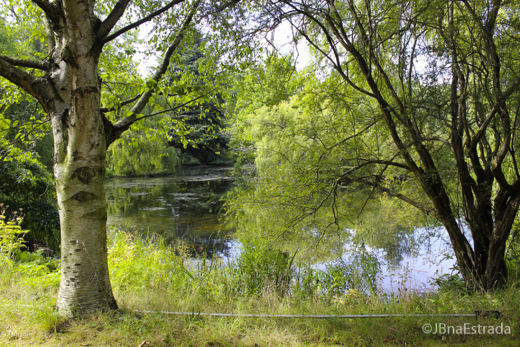 Inglaterra - Londres - Palacio de Buckingham - Lago