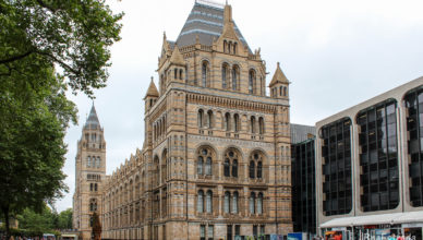 Inglaterra - Londres - Museu de Historia Natural