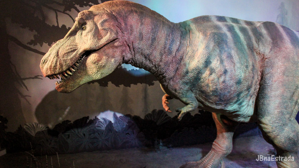 Inglaterra - Londres - Museu de Historia Natural