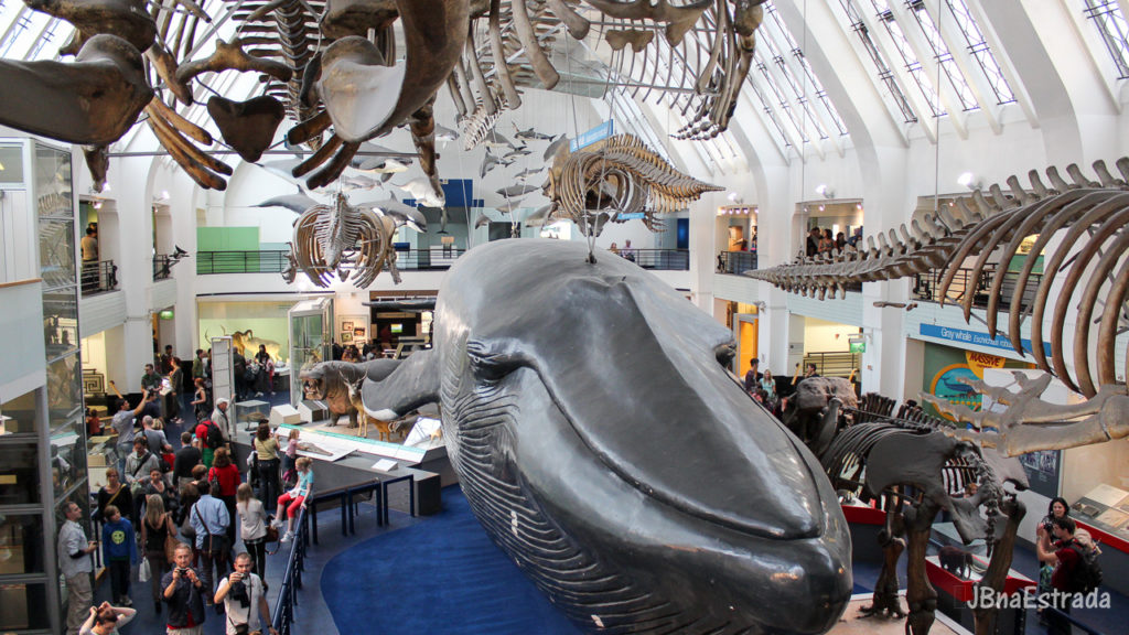 Inglaterra - Londres - Museu de Historia Natural