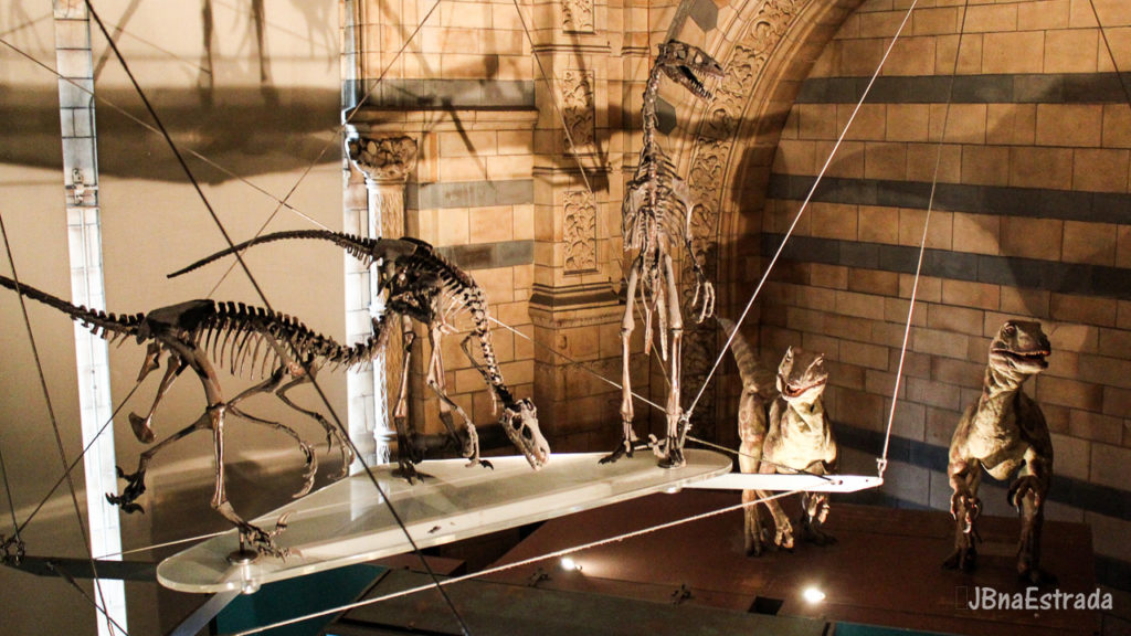 Inglaterra - Londres - Museu de Historia Natural
