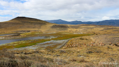 Chile - Parque Nacional Torres del Paine