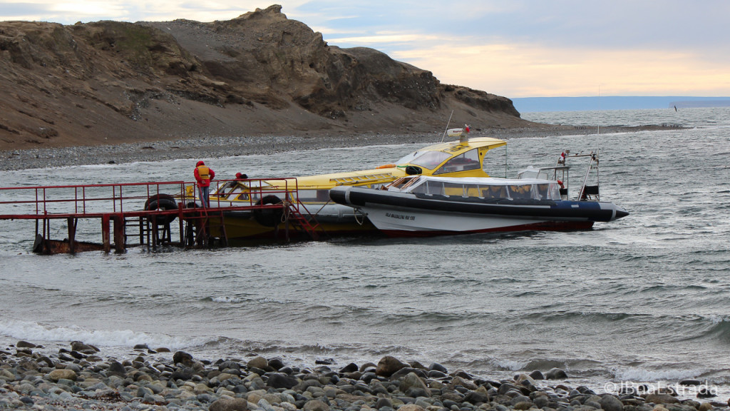 Chile - Punta Arenas - Estreito de Magalhaes - Isla Magdalena