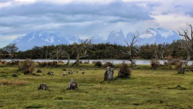 Chile - Torres del Paine - Villa Serrano