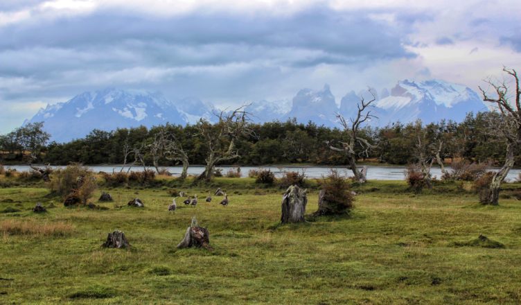 Chile - Torres del Paine - Villa Serrano