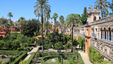 Espanha - Sevilha - Real Alcazar (Barcelona Madri e Sevilha)