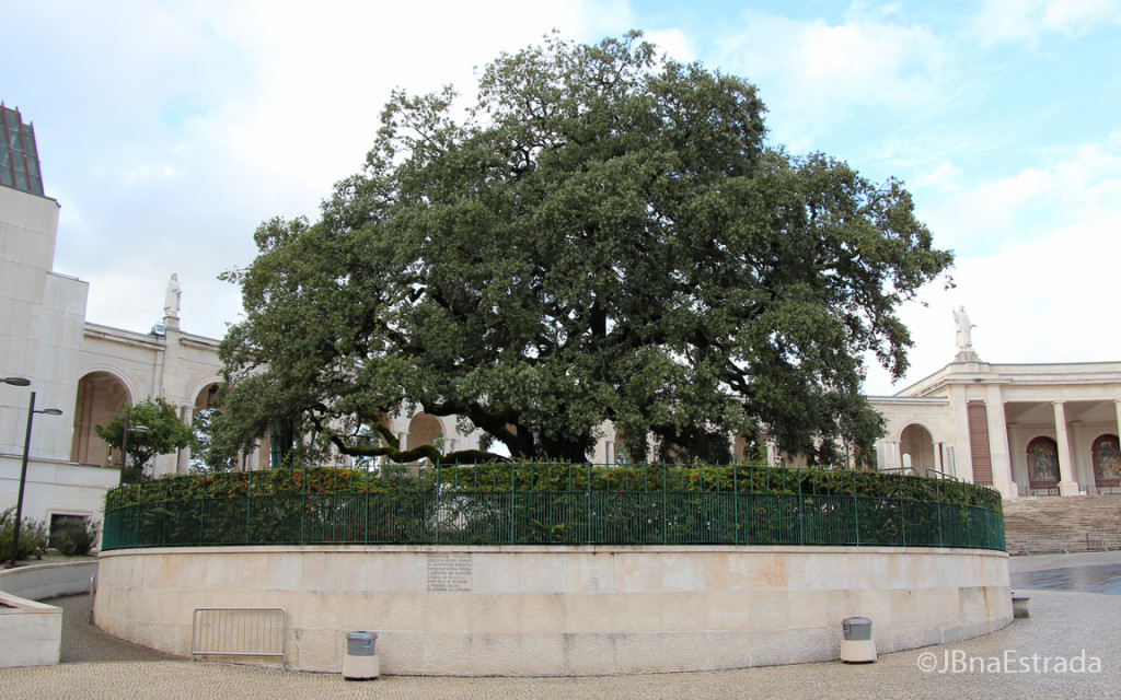 Portugal - Fatima - Azinheira Grande