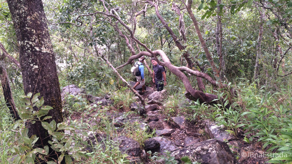 Brasil - Goias - Chapada dos Veadeiros - Cataratas dos Couros - Trilha