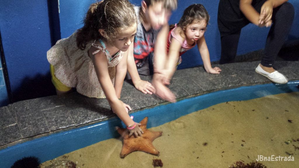 Brasil - Sao Paulo - Ubatuba - Aquario