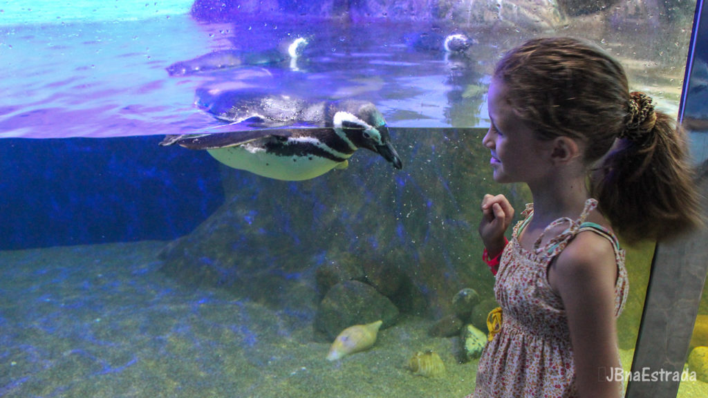 Brasil - Sao Paulo - Ubatuba - Aquario