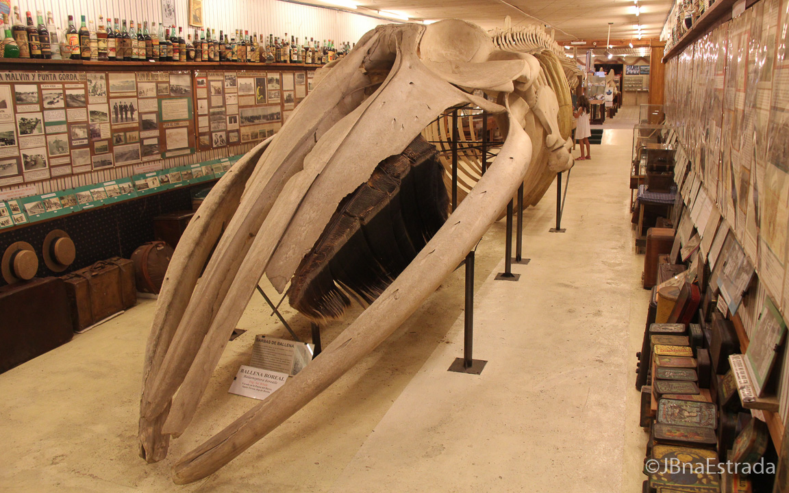 Uruguai - La Barra - Museo del Mar