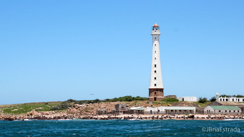Uruguai - Punta del Este - Isla de Los Lobos