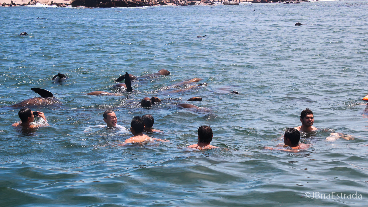 Uruguai - Punta del Este - Isla de Los Lobos
