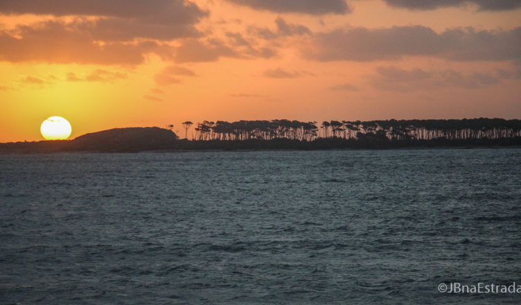 Uruguai - Punta del Este - Playa Mansa (Punta del Este e Montevidéu)