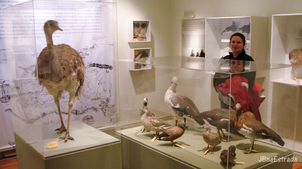 Argentina - Puerto Madryn - Museo del Hombre Y El Mar
