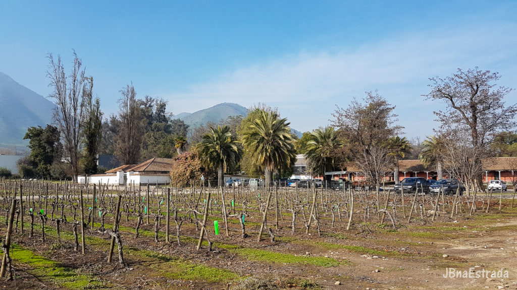 Chile - Santiago - Vinicola Santa Rita