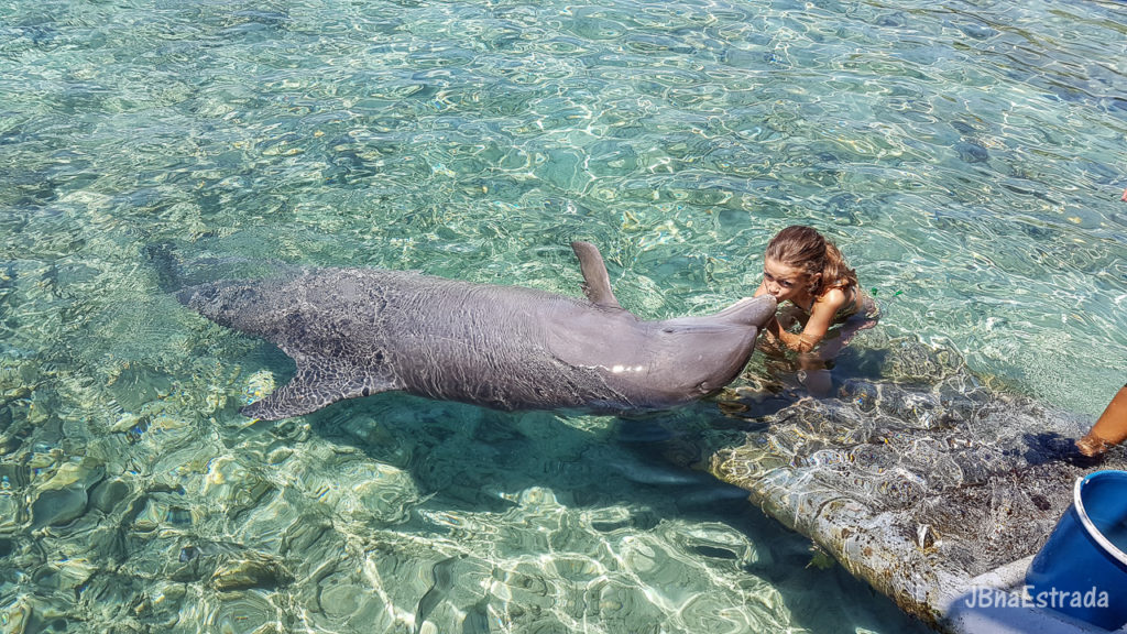 Colombia - Cartagena - Islas del Rosario - Oceanario