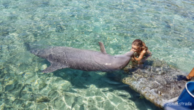Colombia - Cartagena - Islas del Rosario - Oceanario