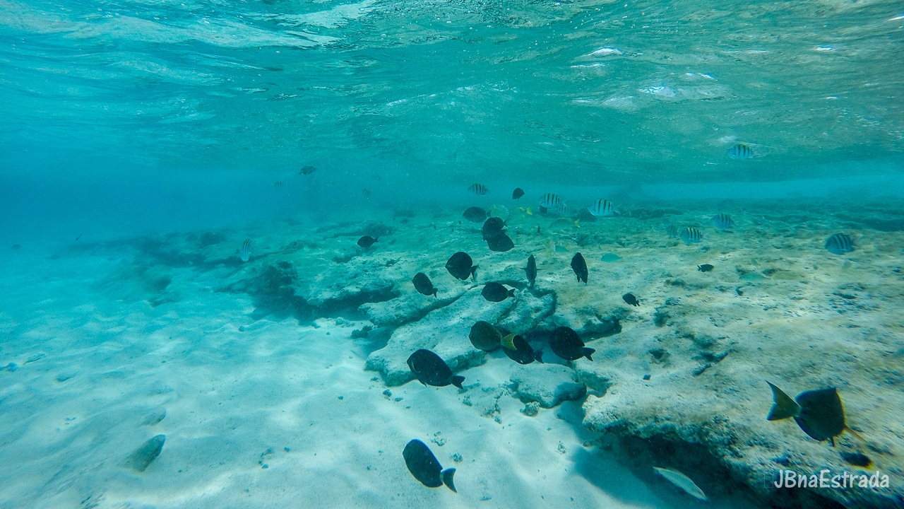 Colombia - San Andres - Aquario