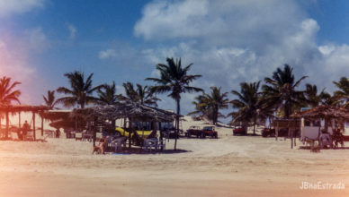 Brasil - Bahia - Mangue Seco