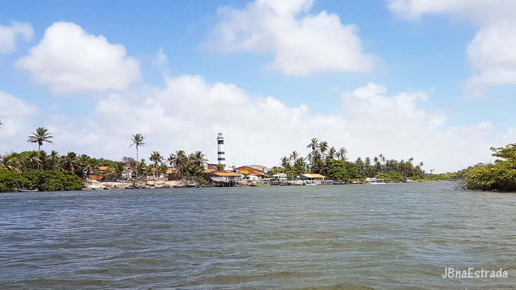 Brasil - Maranhao - Rio Preguicas - Mandacaru