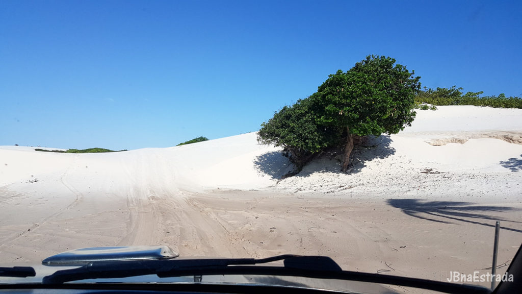 Brasil - Maranhao - Santo Amaro - Lencois Maranhenses