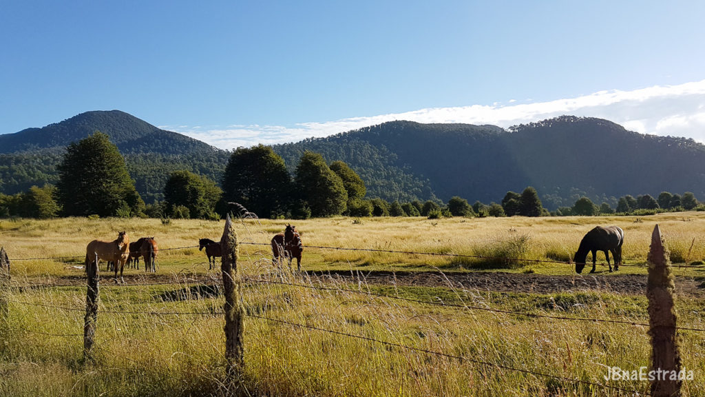 Chile - Conaripe - Retorno para Pucon