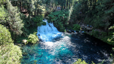 Chile - Pucon - Ojos del Caburgua