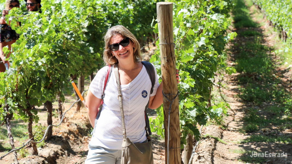 Chile - Santiago - Vina Cousino-Macul