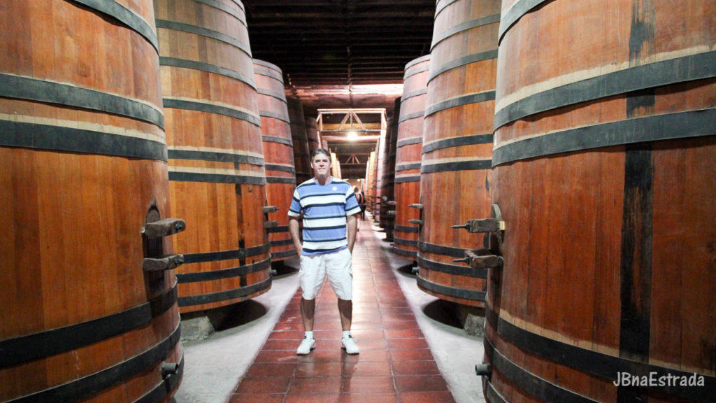 Chile - Santiago - Vina Cousino-Macul