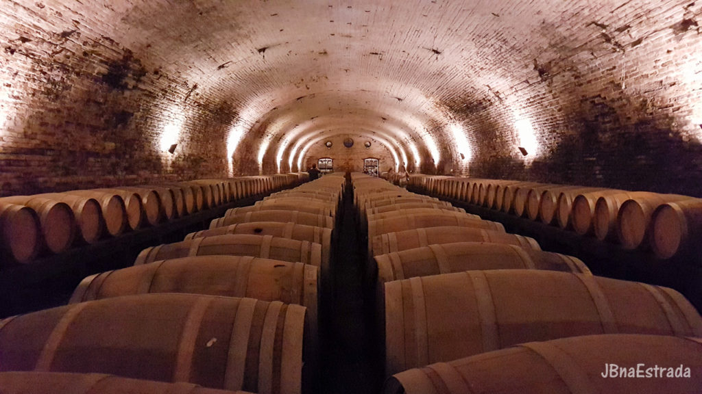 Chile - Santiago - Vina Cousino-Macul