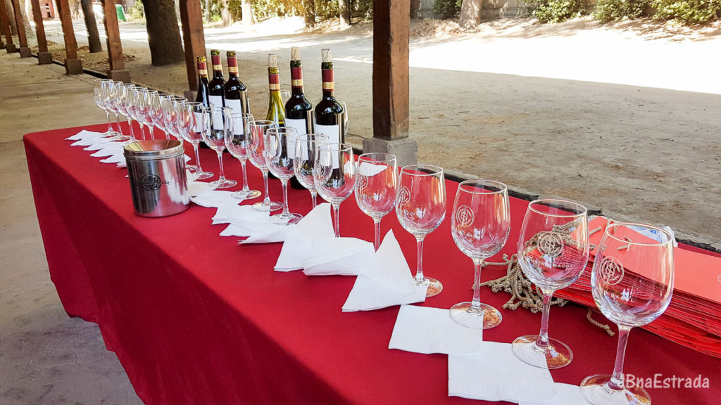 Chile - Santiago - Vina Cousino-Macul