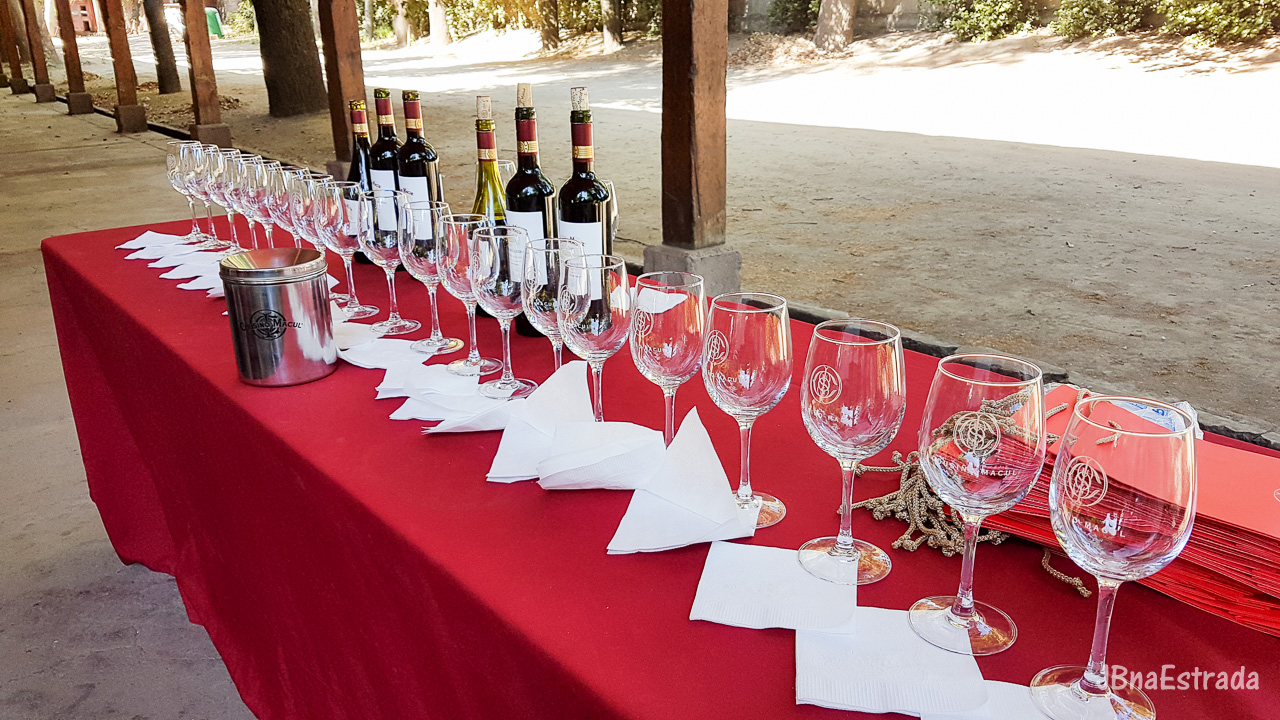Chile - Santiago - Vina Cousino-Macul