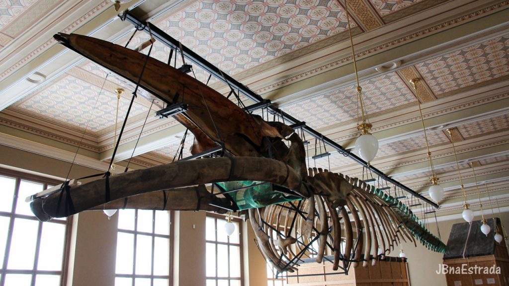 Republica Tcheca - Praga - Museu Nacional