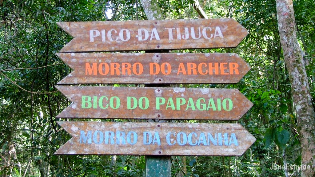 Brasil - Rio de Janeiro - Floresta da Tijuca