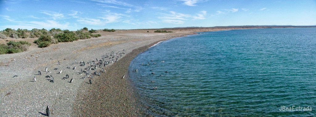 Argentina - Puerto Madryn - Punta Tombo