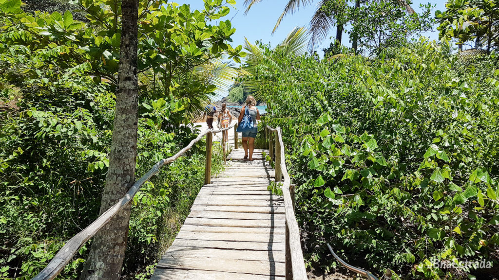 Brasil - Bahia - Itacare - Trilha da Prainha