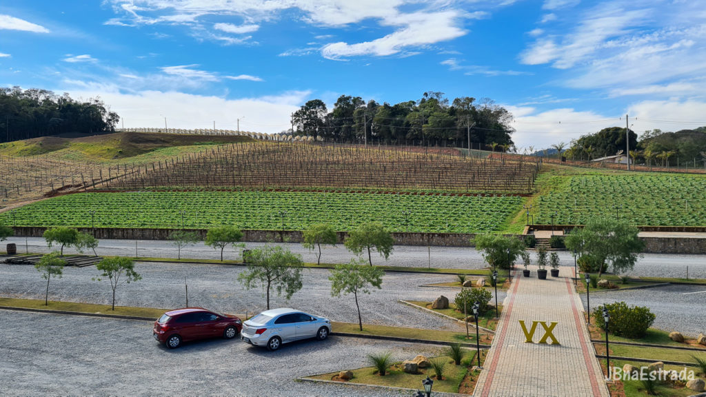 Brasil - São Paulo - São Roque - Vinícola XV de Novembro