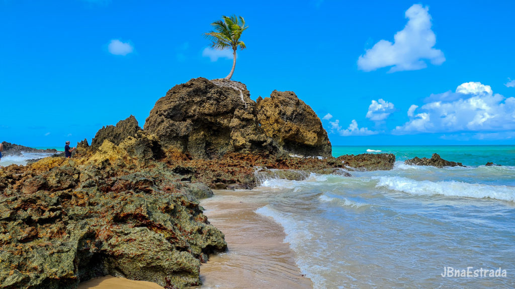 Brasil - Paraiba - Conde - Praia de Tambaba