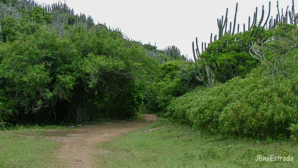 Brasil - Rio de Janeiro - Cabo Frio - Praia Brava