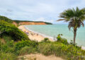 Brasil - Alagoas - Barra de Santo Antonio - Praia de Carro Quebrado