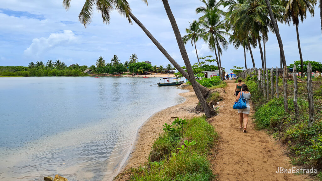 Brasil - Alagoas - Jequia da Praia - Dunas de Marape