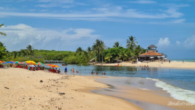 Brasil - Alagoas - Jequia da Praia - Dunas de Marape