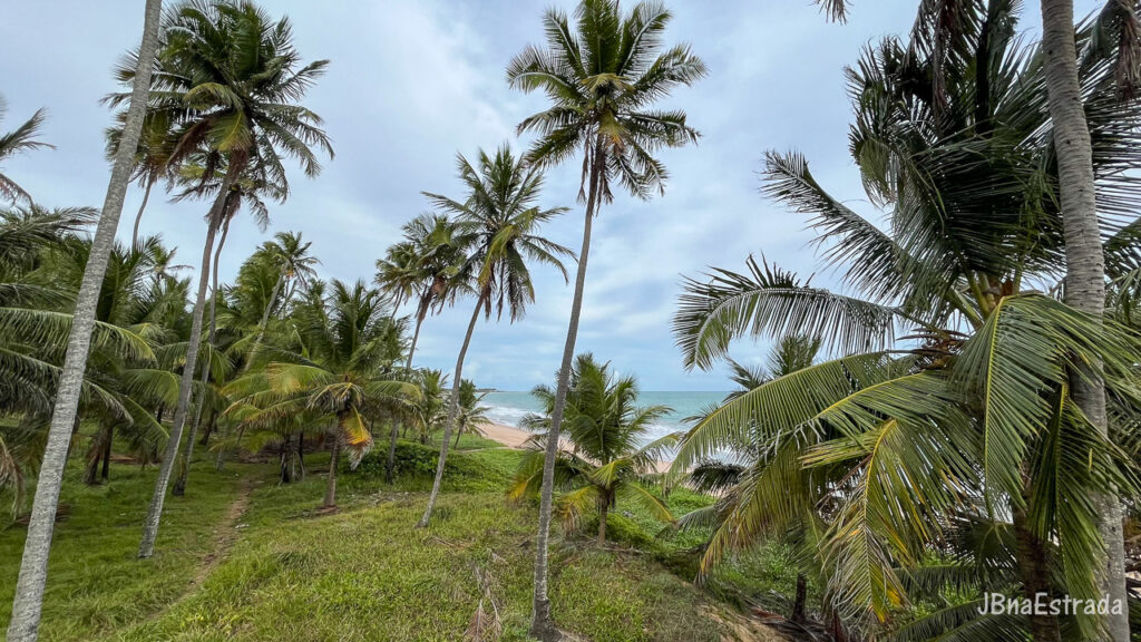Brasil - Alagoas - Maceio - Mirante Praia da Sereia