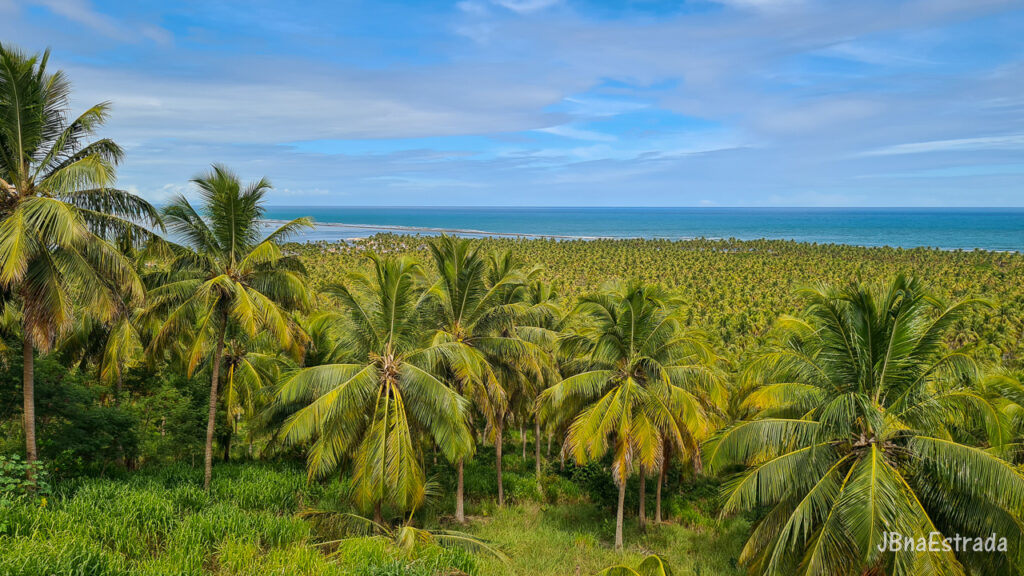 Brasil - Alagoas - Roteiro - Praia do Gunga